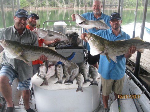 Nice Striped Bass
